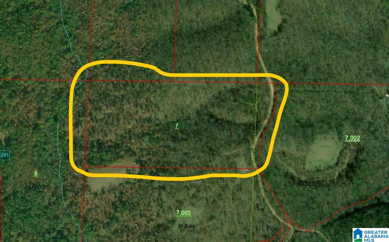 1 County Road 2811 Lineville, AL 36266 - Photo 7 of 8