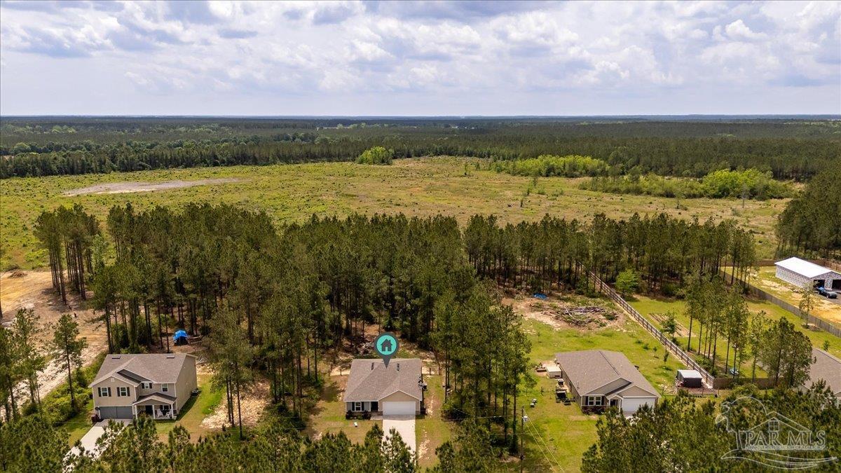 1919 Pineview Church Road Jay, FL 32565 - Photo 3 of 31