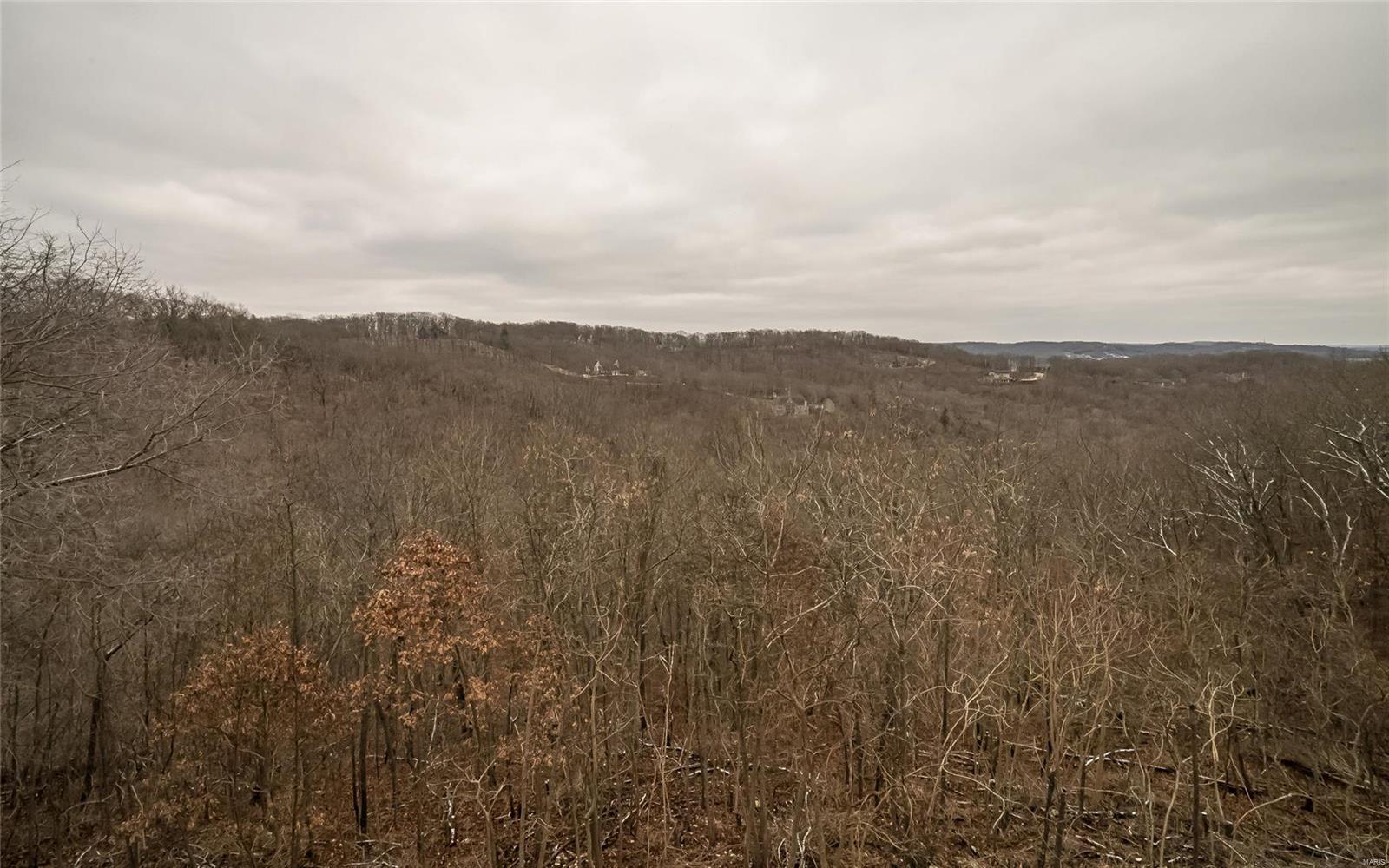 1556 Wolf Trail Road Wildwood, MO 63021 - Photo 55 of 76 Gallery Image 55