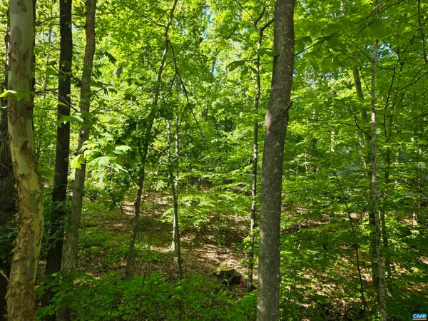 $65,000 | 717 Jefferson Drive, Palmyra, VA 22963