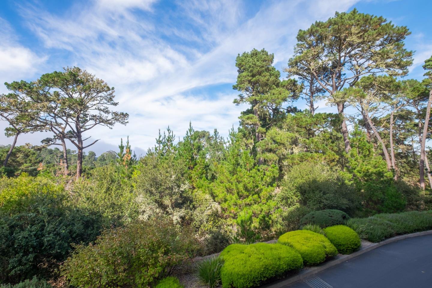 37 Shepherds Knoll Road Monterey, CA 93940 - Photo 1 of 20 a view of a garden