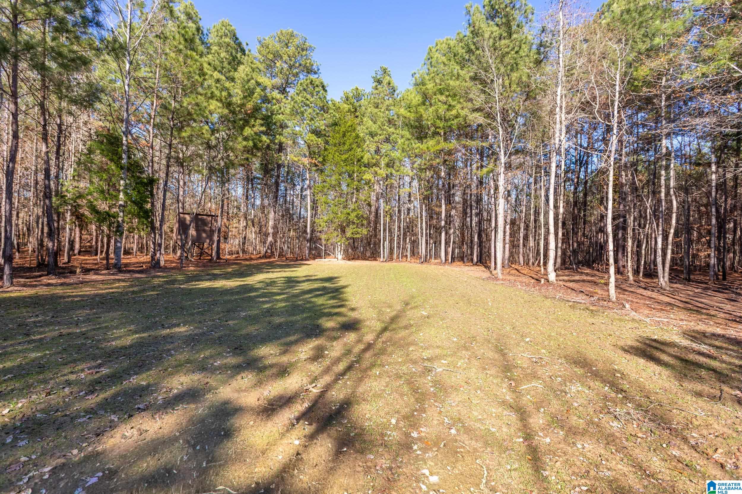 2162 Six Foot Road Ohatchee, AL 36271 - Photo 45 of 50