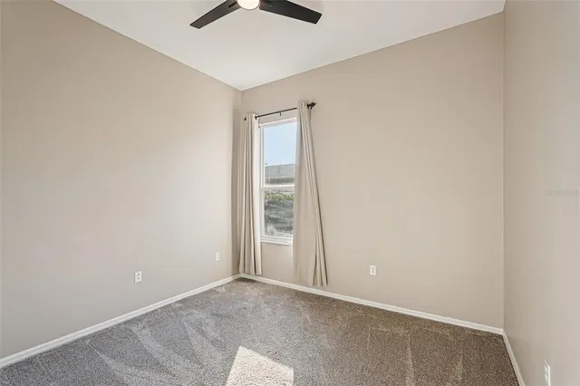 a view of a lake with a large trees