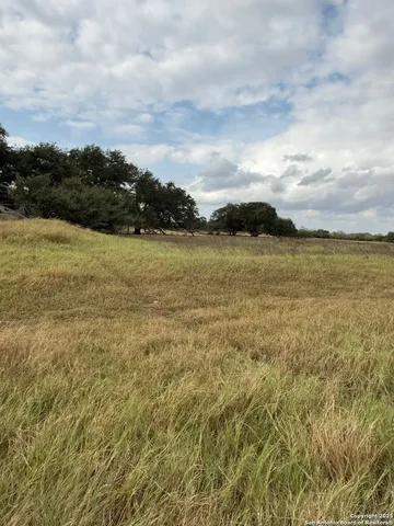 a view of a field with trees in back