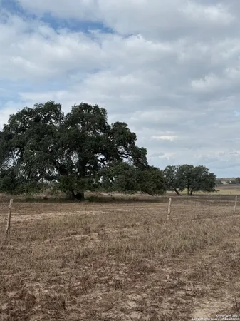 $1,650,000 | 4689 County Road 302, Runge, TX 78151