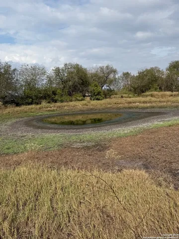a view of a dry yard with trees