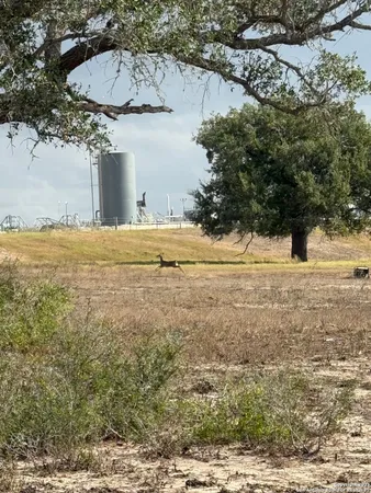 $1,650,000 | 4689 County Road 302, Runge, TX 78151