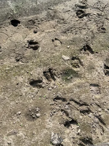 a view of an ocean beach