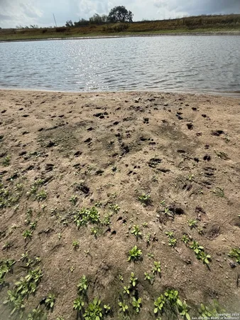 $1,650,000 | 4689 County Road 302, Runge, TX 78151