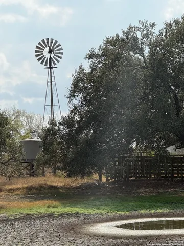 a view of a dry yard