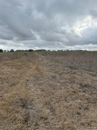 $1,650,000 | 4689 County Road 302, Runge, TX 78151