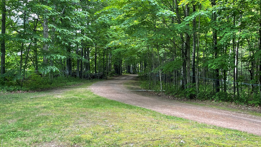 167 Patnode Road West Chazy, NY 12992 - Photo 10 of 43 Gallery Image 10