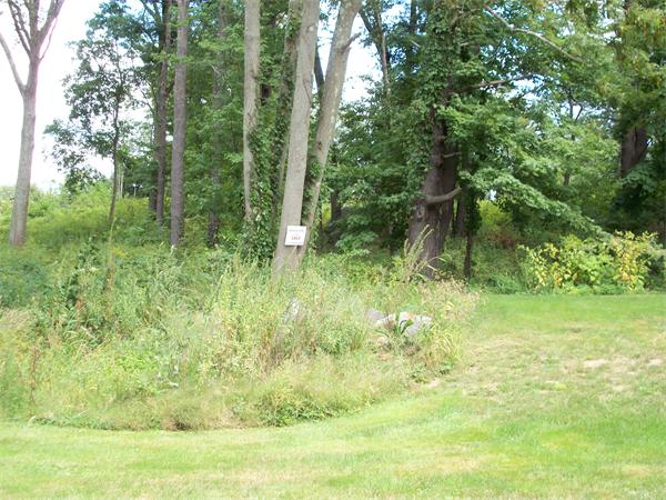 53 Sturdy Street Norton, MA 02766 - Photo 2 of 6 a view of a garden