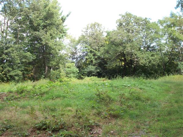 53 Sturdy Street Norton, MA 02766 - Photo 3 of 6 a view of a lush green forest