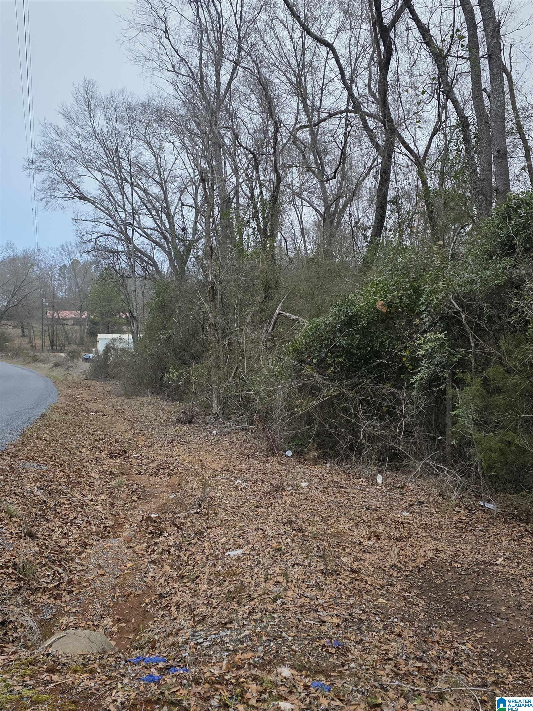 322 Tucker Road Talladega, AL 35160 - Photo 19 of 21