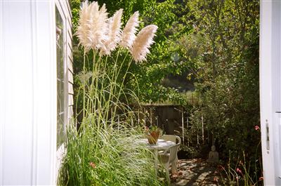 3 Adrian Terrace San Rafael, CA 94903 - Photo 6 of 9 a view of a backyard of the house