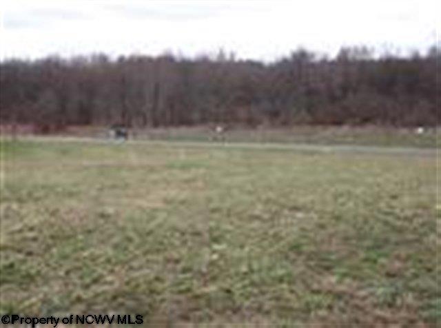 3 Preston Meadows Reedsville, WV 26547 - Photo 2 of 6 Gallery Image 2