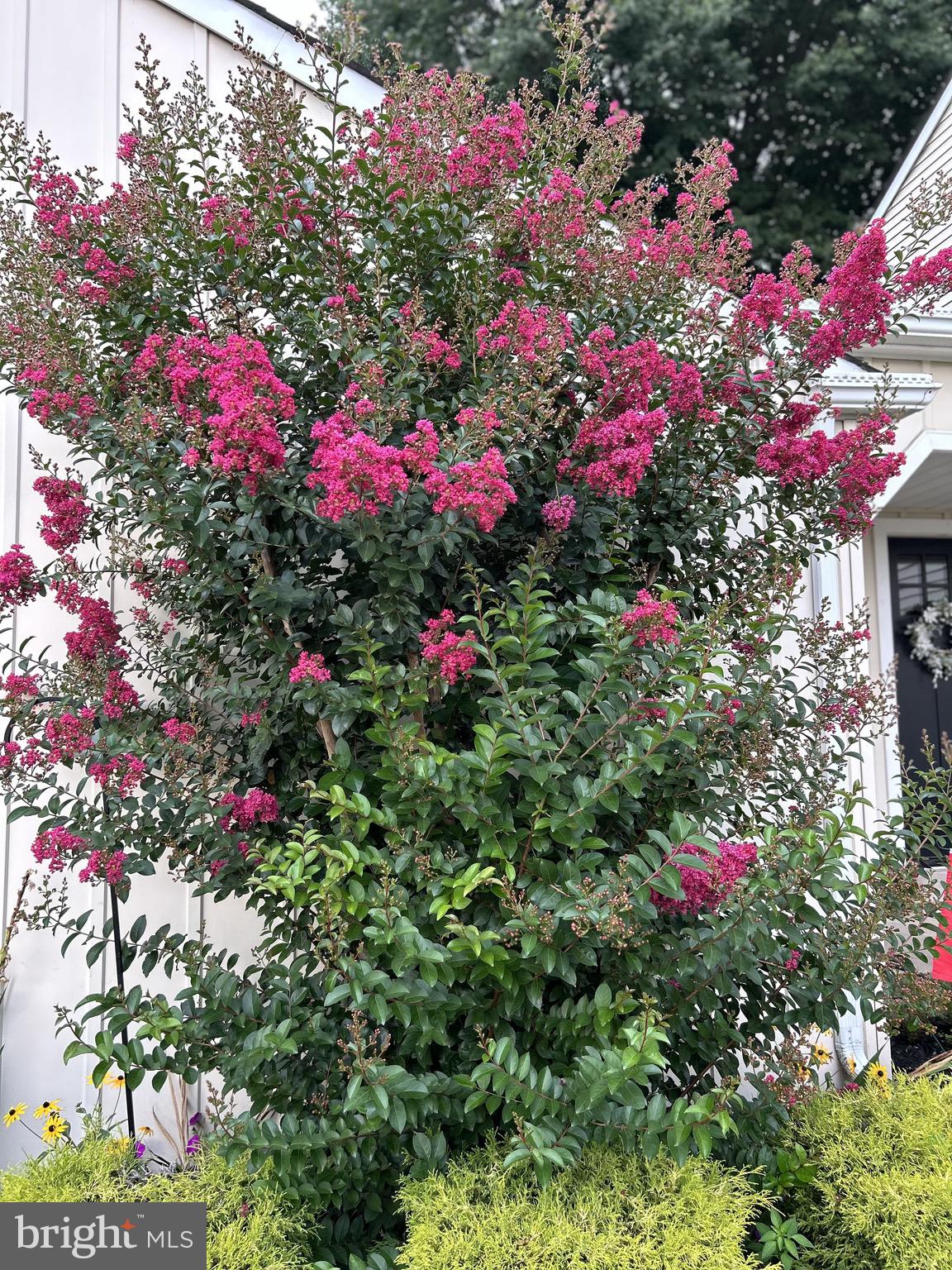 225 Chestnut Valley Drive Doylestown, PA 18901 - Photo 41 of 46 a view of a flower in a garden