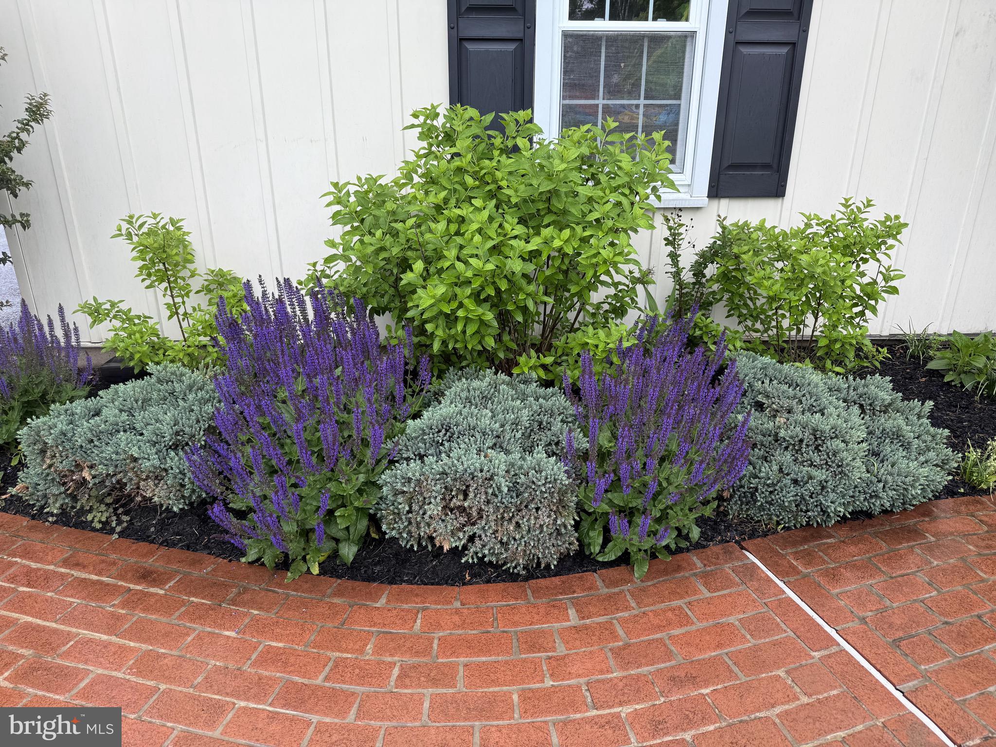 225 Chestnut Valley Drive Doylestown, PA 18901 - Photo 42 of 46 a view of a garden with potted plants