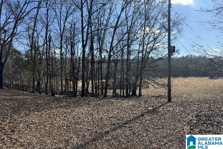 1036 Rushing Springs Road Lincoln, AL 35096 - Photo 23 of 58