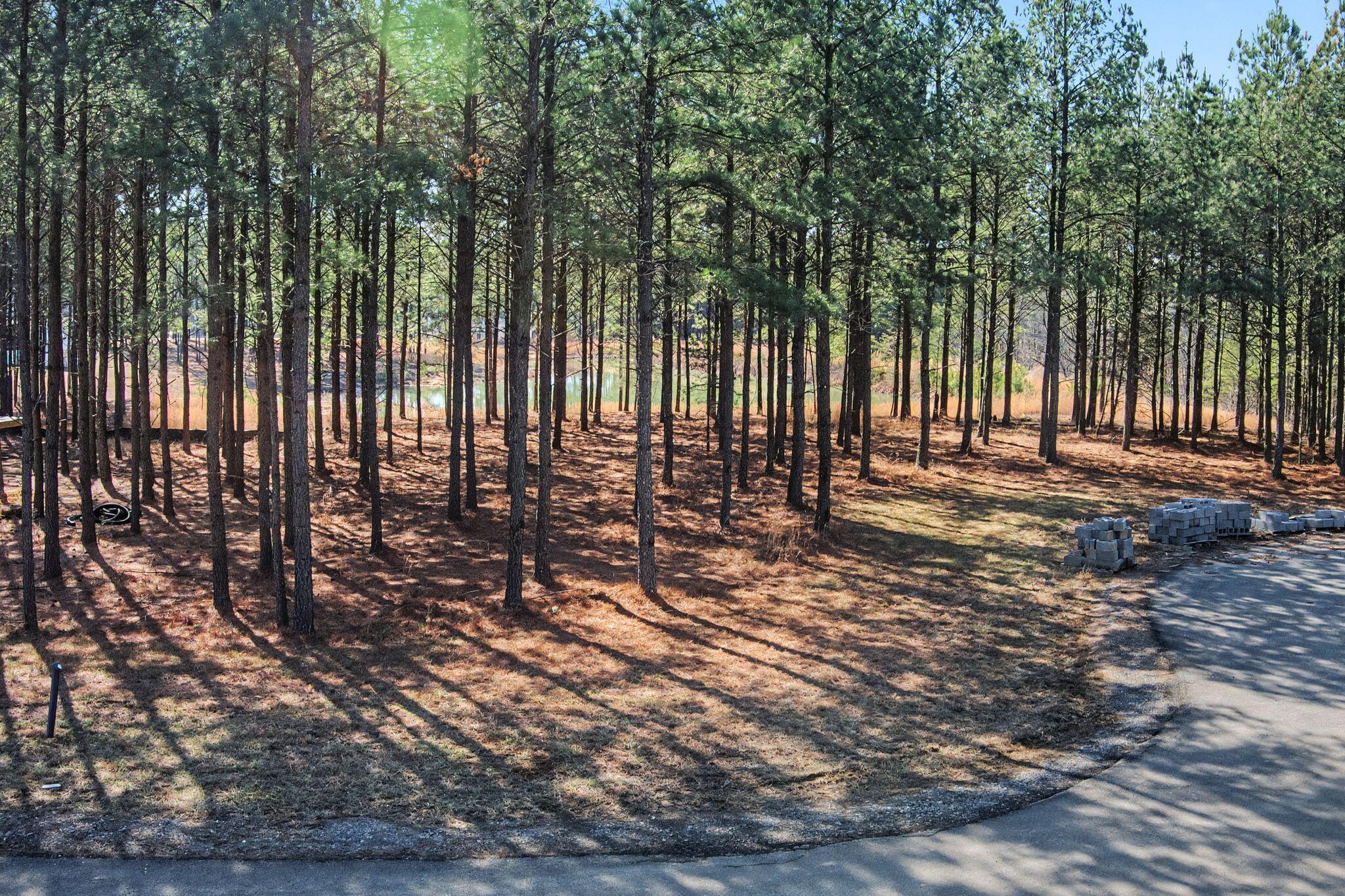 0 Bootleg Drive, Unit 202 Jasper, TN 37347 - Photo 11 of 20 rp2602091-1010