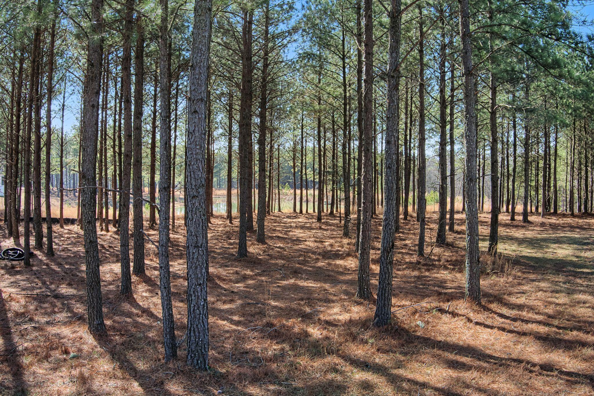 0 Bootleg Drive, Unit 202 Jasper, TN 37347 - Photo 16 of 20 rp2602091-1015