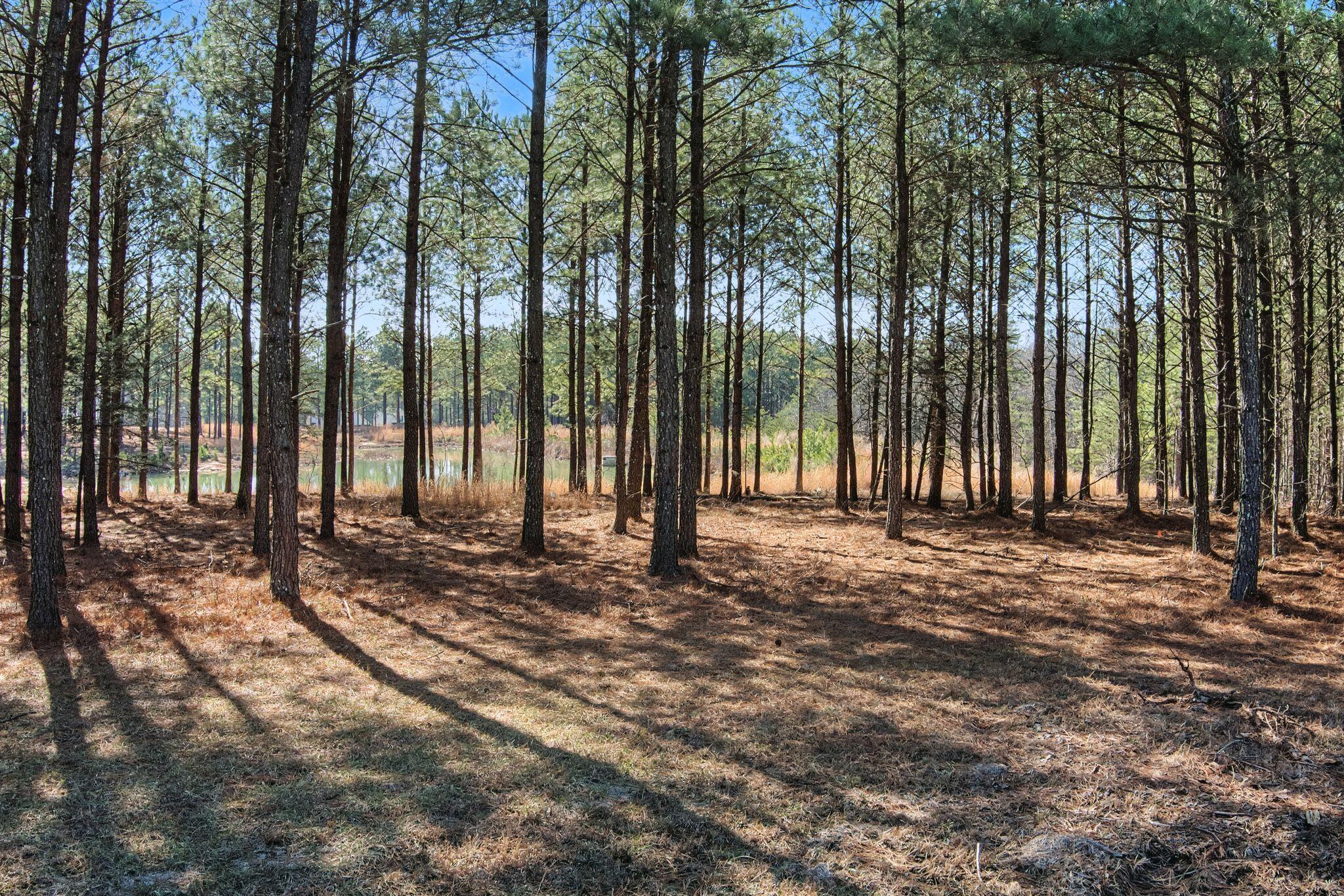0 Bootleg Drive, Unit 202 Jasper, TN 37347 - Photo 17 of 20 rp2602091-1016