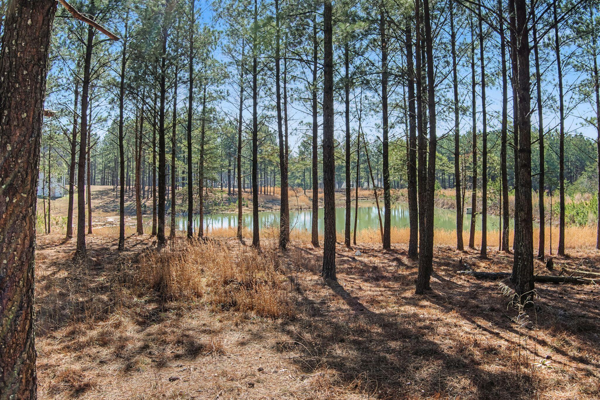 0 Bootleg Drive, Unit 202 Jasper, TN 37347 - Photo 18 of 20 rp2602091-1017