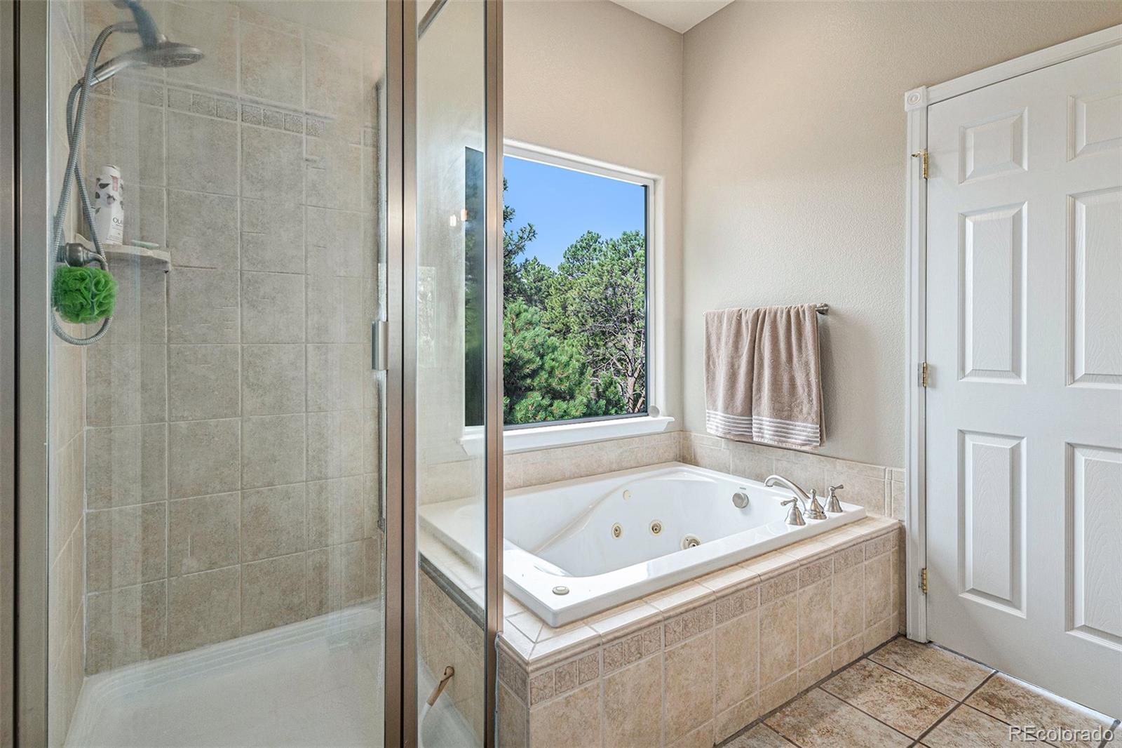 2861 East Ridge Road Elizabeth, CO 80107 - Photo 22 of 48 Gallery Image 22