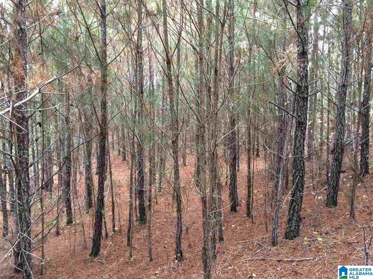 Page Spring Road, Unit 4 Arab, AL 35016 - Photo 20 of 29