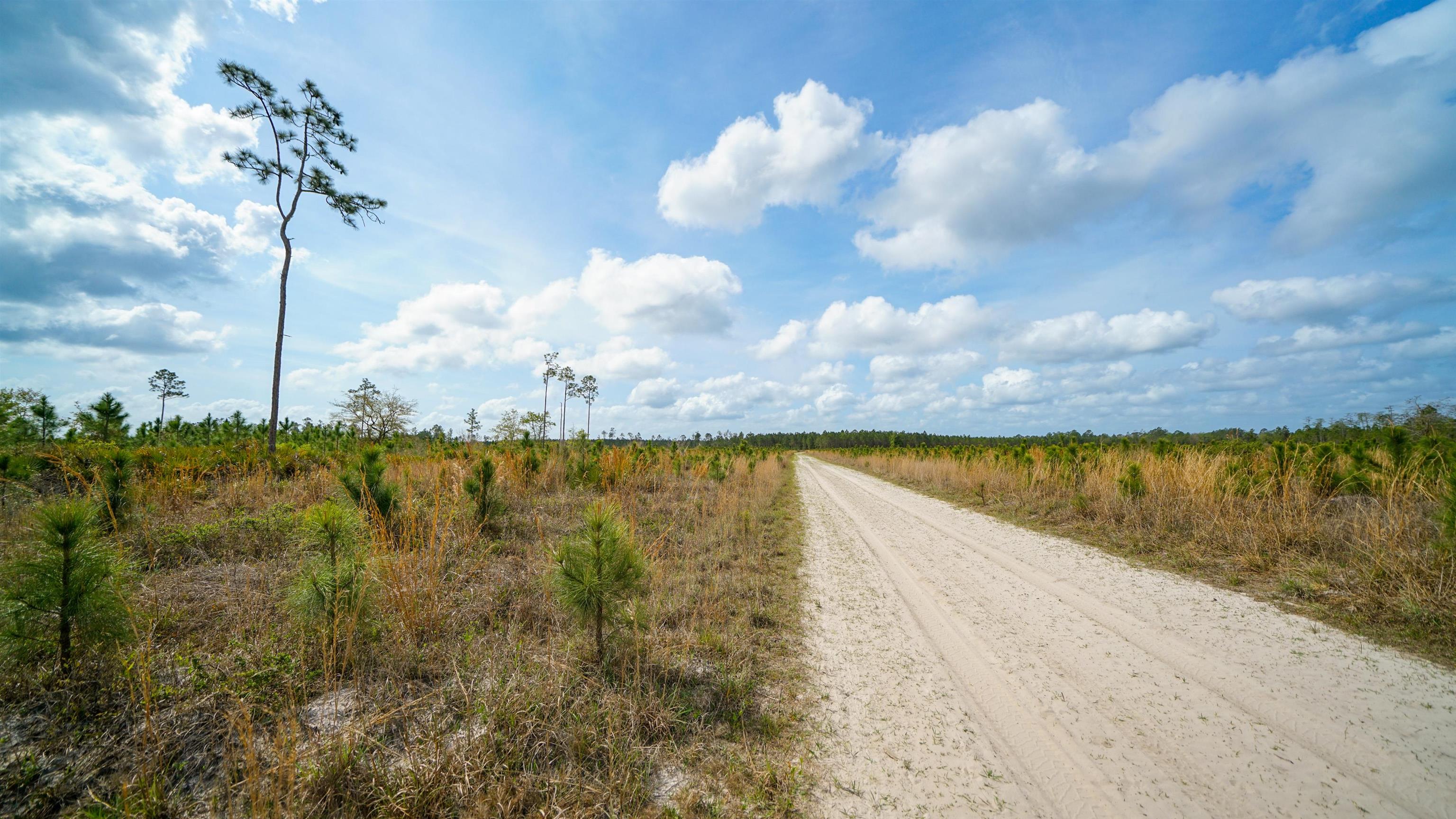 0 Fox Road Palatka, FL 32177 - Photo 14 of 17