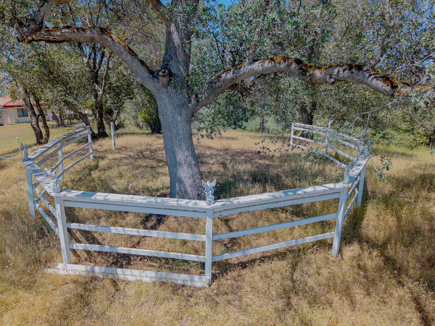 5912 Old Gulch Road San Andreas, CA 95249 - Photo 58 of 71 a view of wooden deck