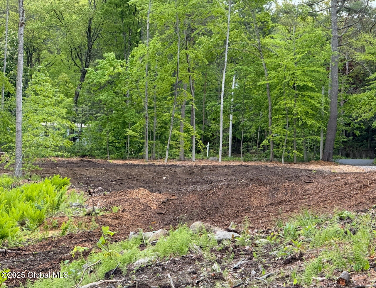 1569 South Shore Road Hadley, NY 12835 - Photo 11 of 12 IMG_0979