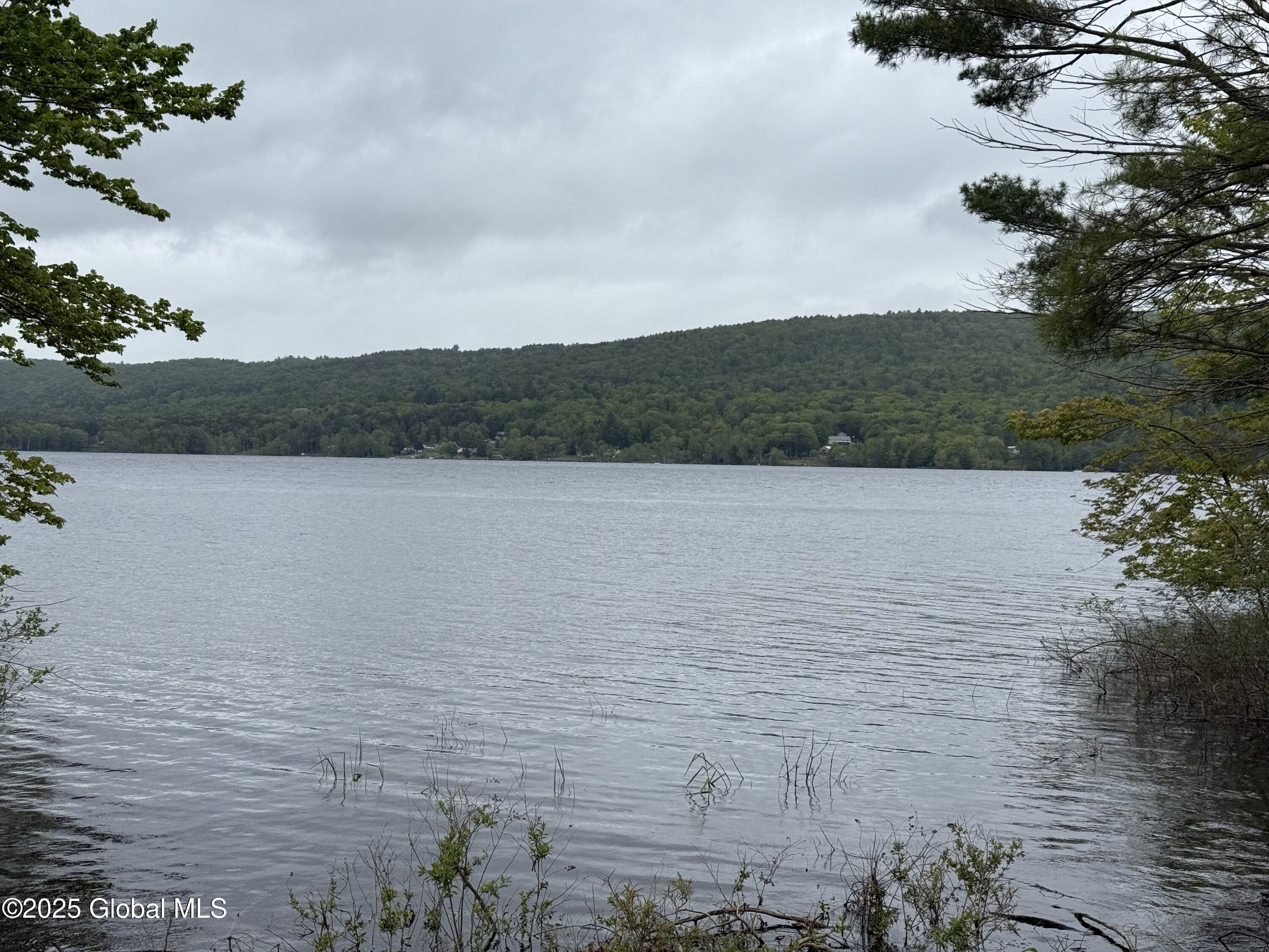 1569 South Shore Road Hadley, NY 12835 - Photo 2 of 12 IMG_0971