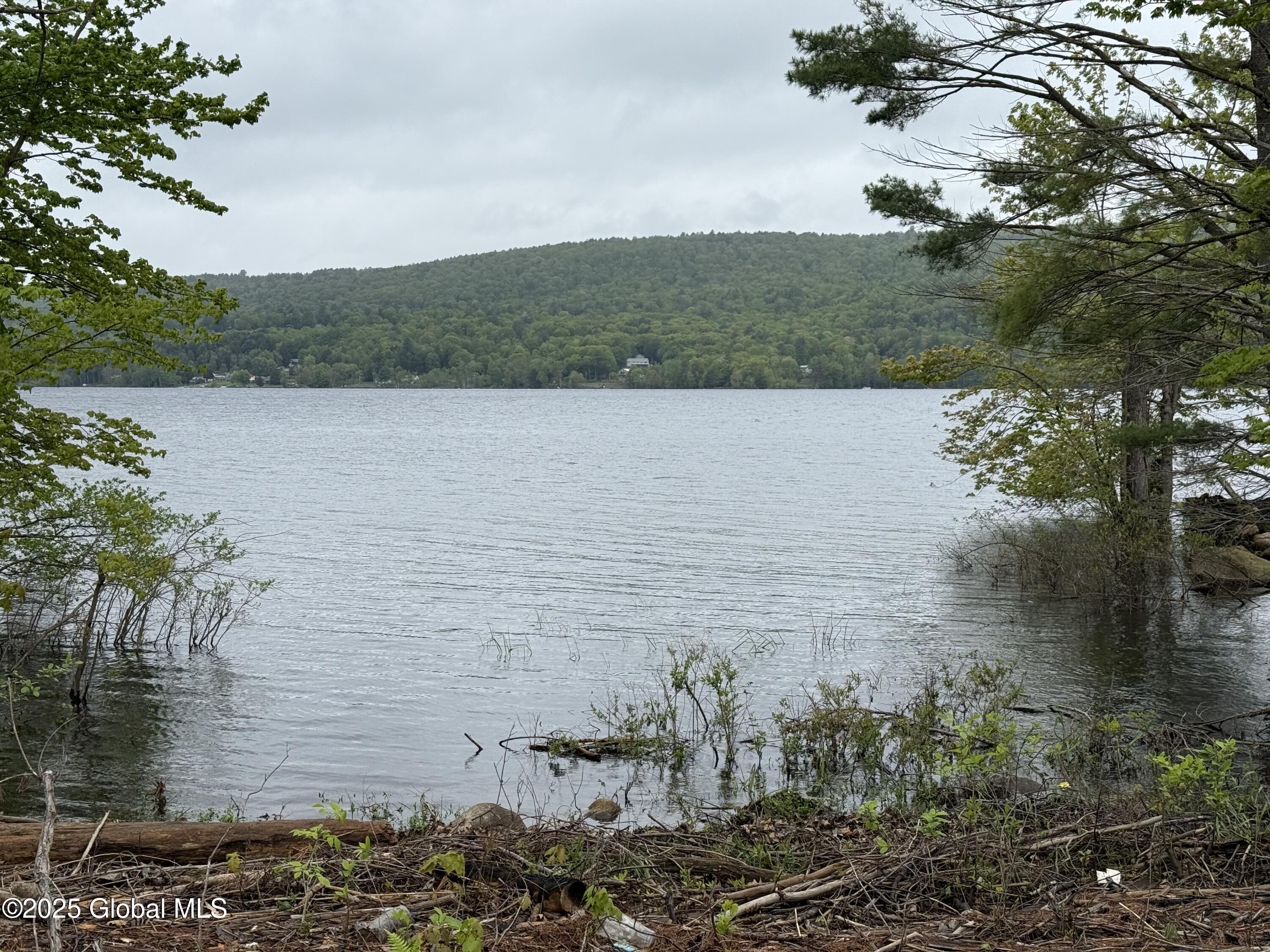 1569 South Shore Road Hadley, NY 12835 - Photo 3 of 12 IMG_0969