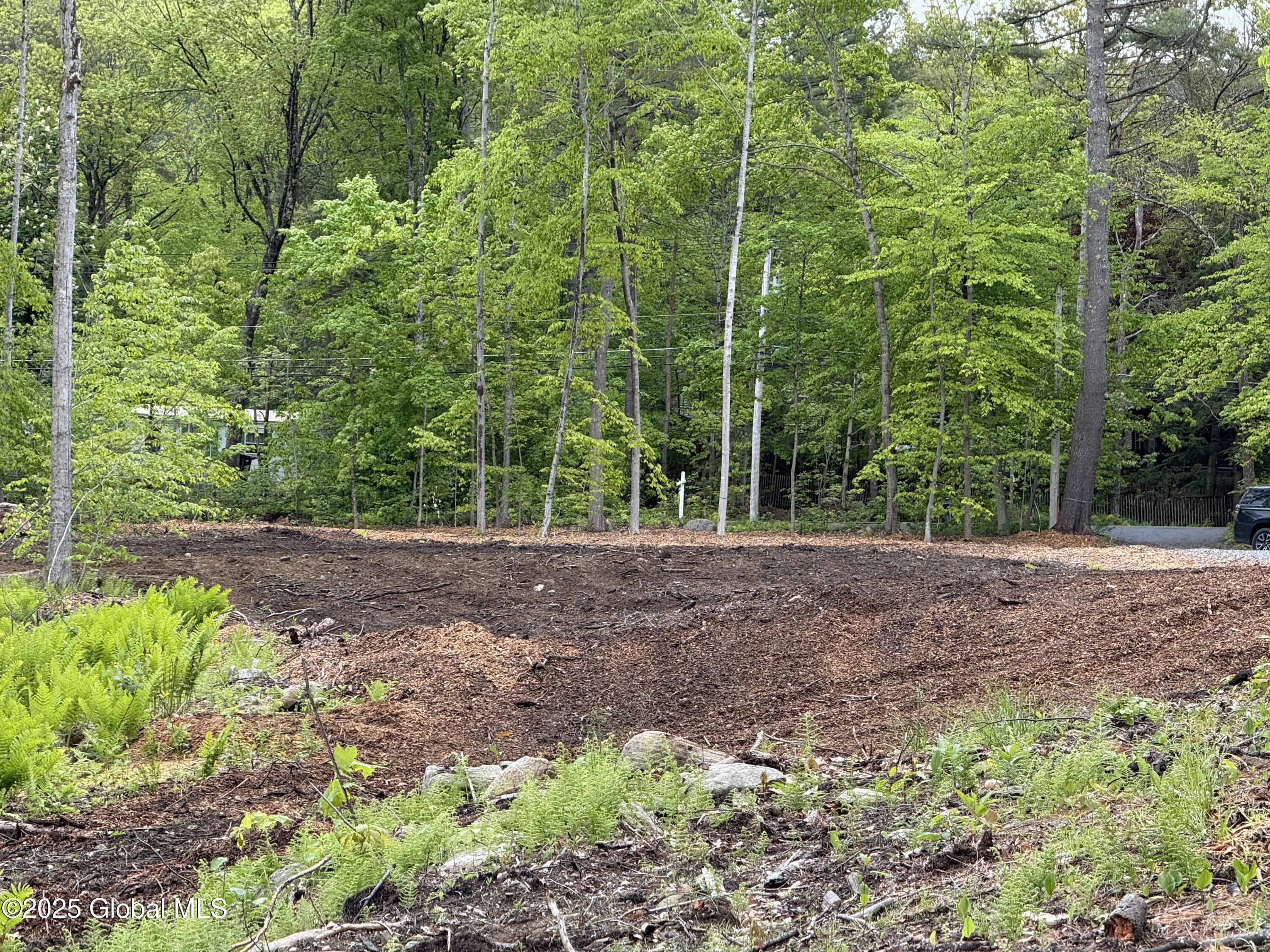 1569 South Shore Road Hadley, NY 12835 - Photo 10 of 12 IMG_0973