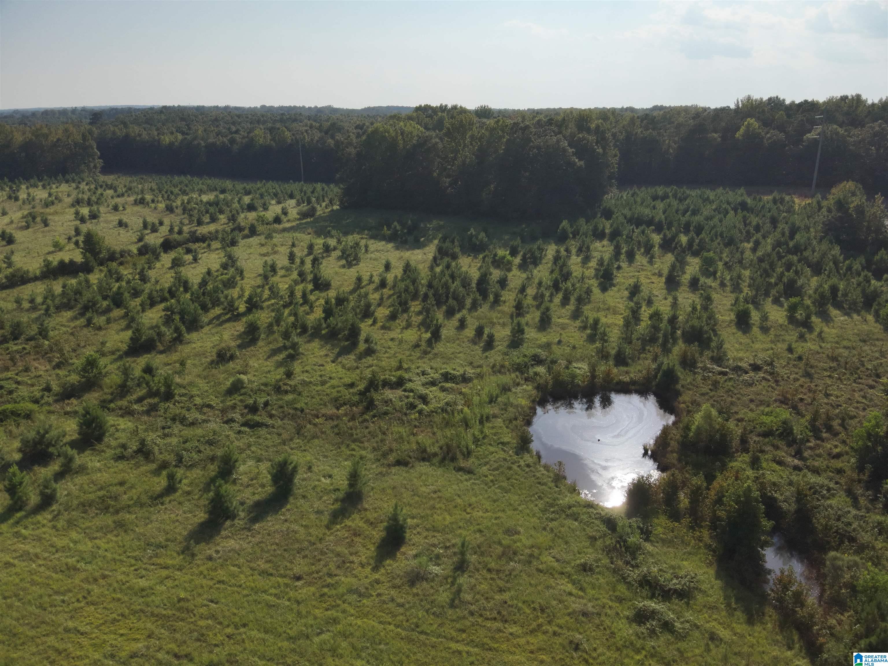 0 New Harmony Road, Unit 35 ACRES / Clanton, AL 35045 - Photo 13 of 21
