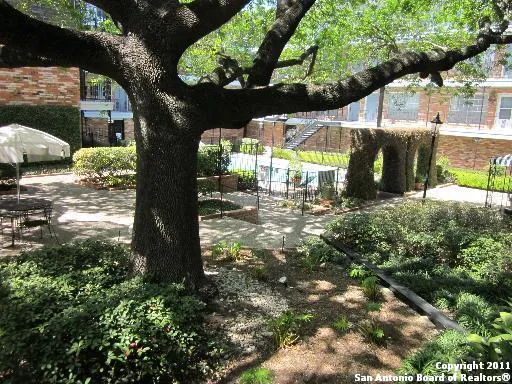 a view of a yard with plants and a large tree