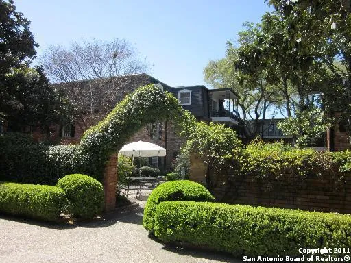 a view of a garden with plants and trees