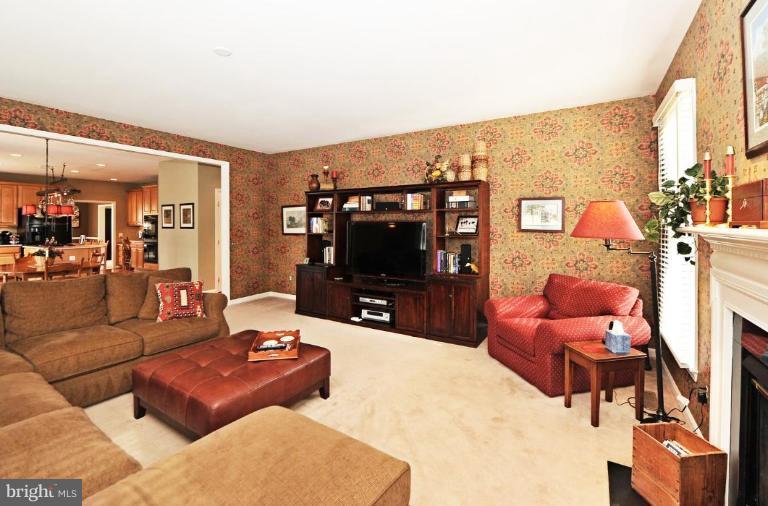 7835 Gambrill Woods Way Springfield, VA 22153 - Photo 22 of 28 Family Room #2