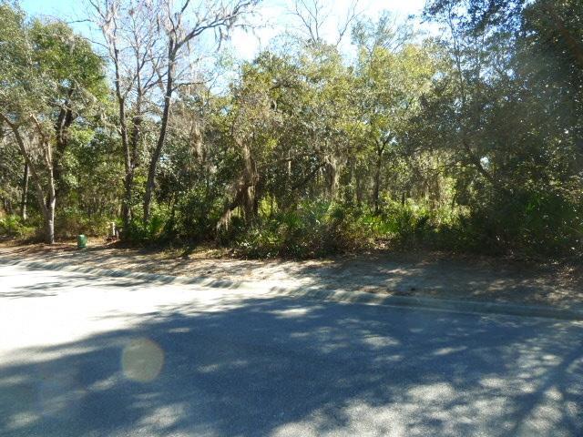 33 Botany Boulevard Santa Rosa Beach, FL 32459 - Photo 3 of 7 Gallery Image 3