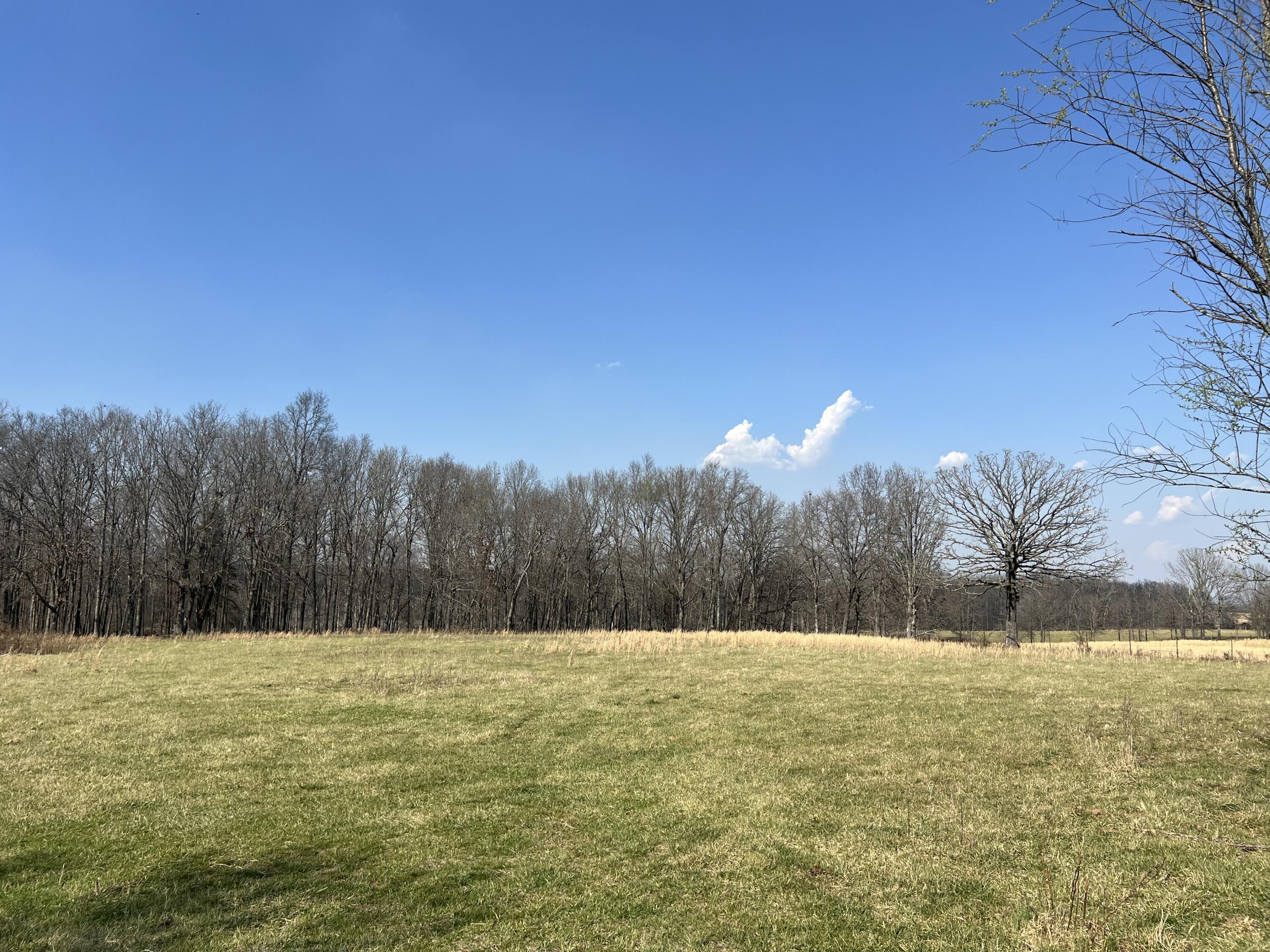 22177 Midvale Road Summersville, MO 65571 - Photo 70 of 82 IMG_5218 - Copy