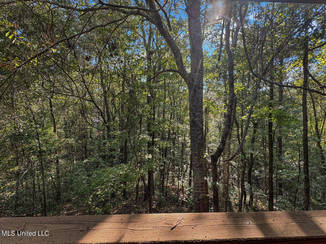 159 Ward Sullivan Road Pinola, MS 39149 - Photo 36 of 50 7b2db450d0a49a2b26bdc65f7993db15b3b95efd