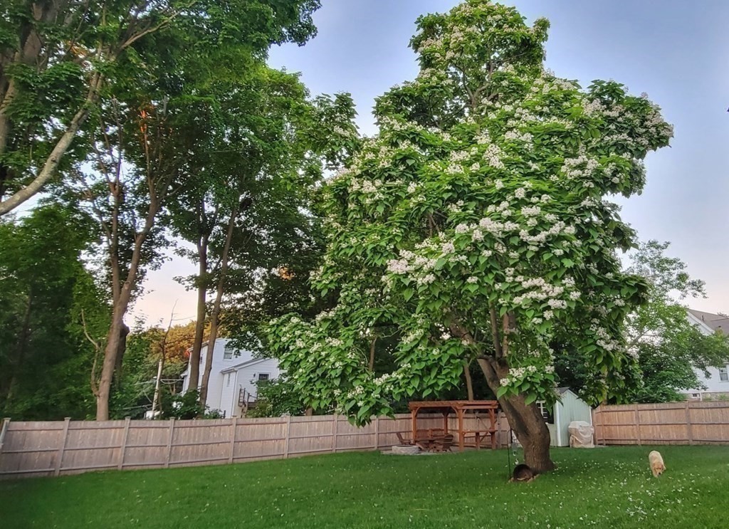 11 Allen Road Norwood, MA 02062 - Photo 34 of 38 Gallery Image 34