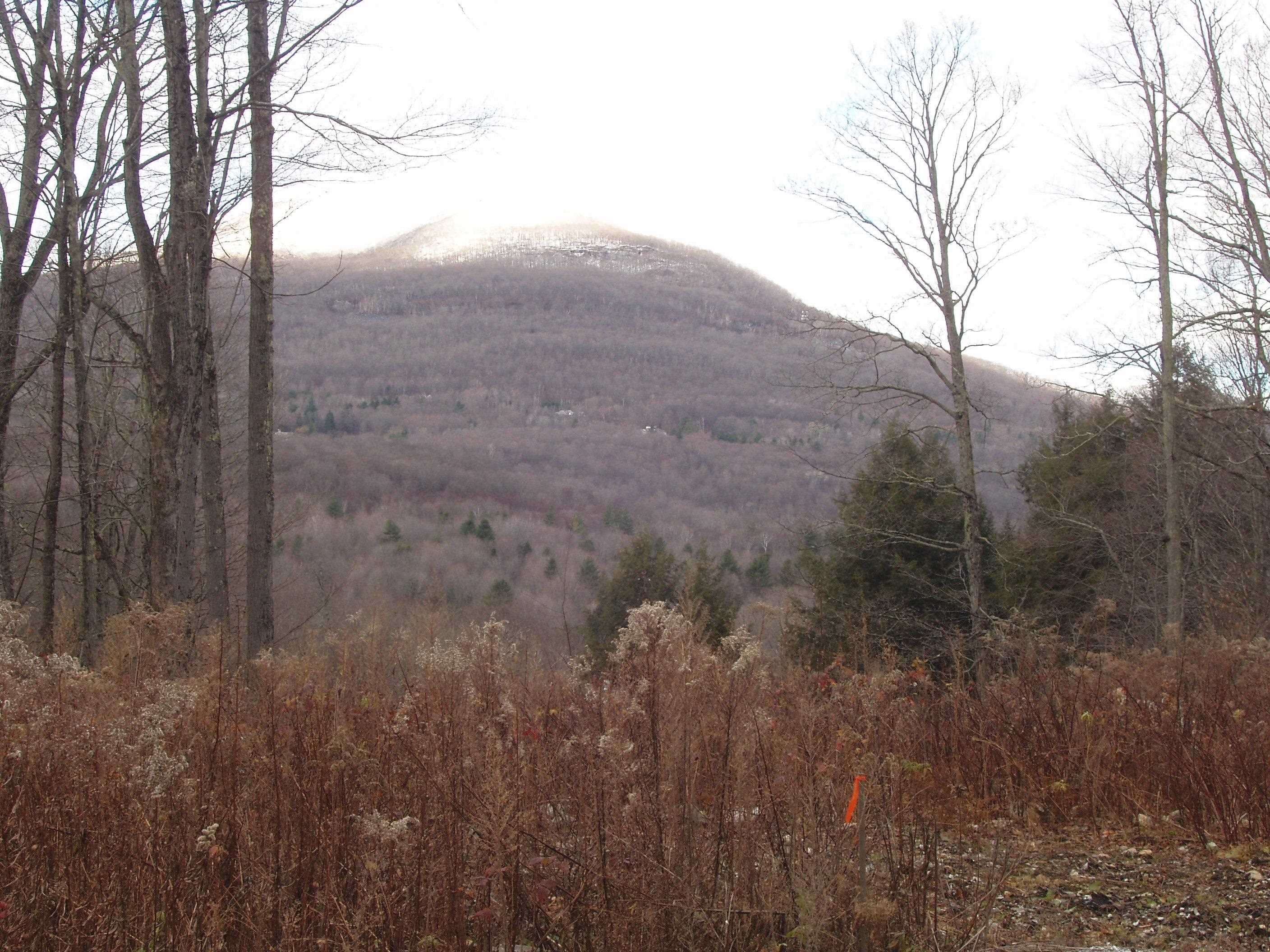 0 Finbar's Forest Road, Unit 7 Manchester Center, VT 05255 - Photo 23 of 26 Gallery Image 23