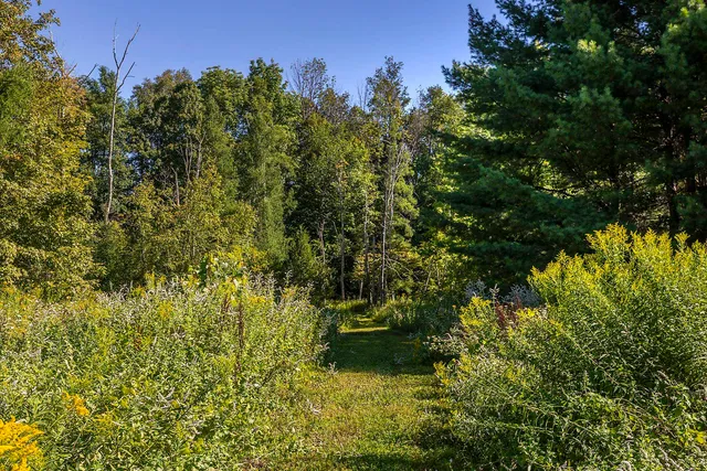 $1,200,000 | 693 Longview Drive, Manchester, VT 05254