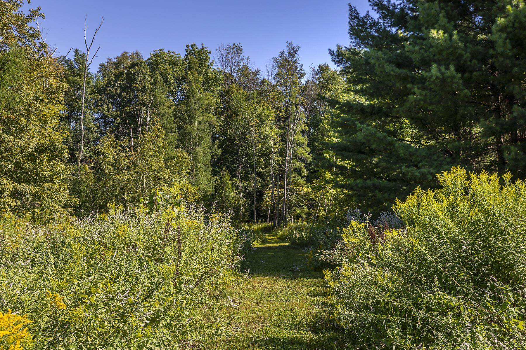 693 Longview Drive Manchester, VT 05254 - Photo 37 of 50