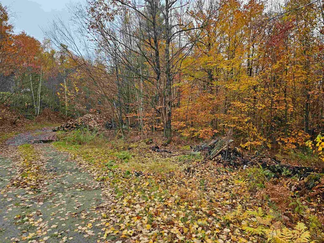 $795,000 | 115 Prior Road, Cavendish, VT 05142