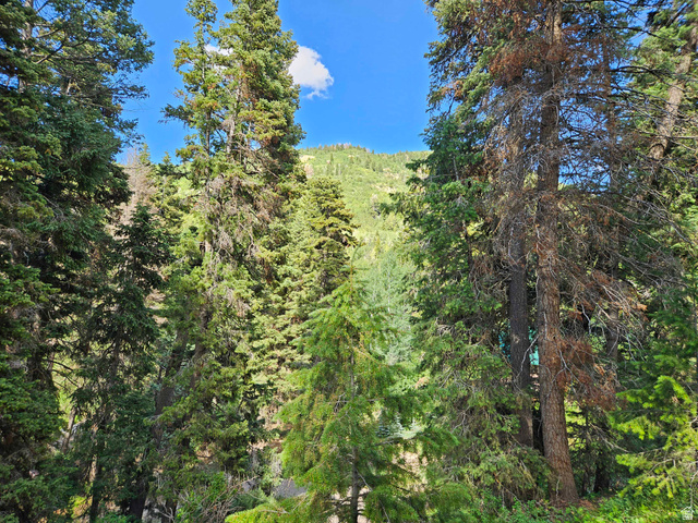 30 East Pine Creek Road South, Unit 30 Mount Pleasant, UT 84647 - Photo 11 of 14 View of wooded area