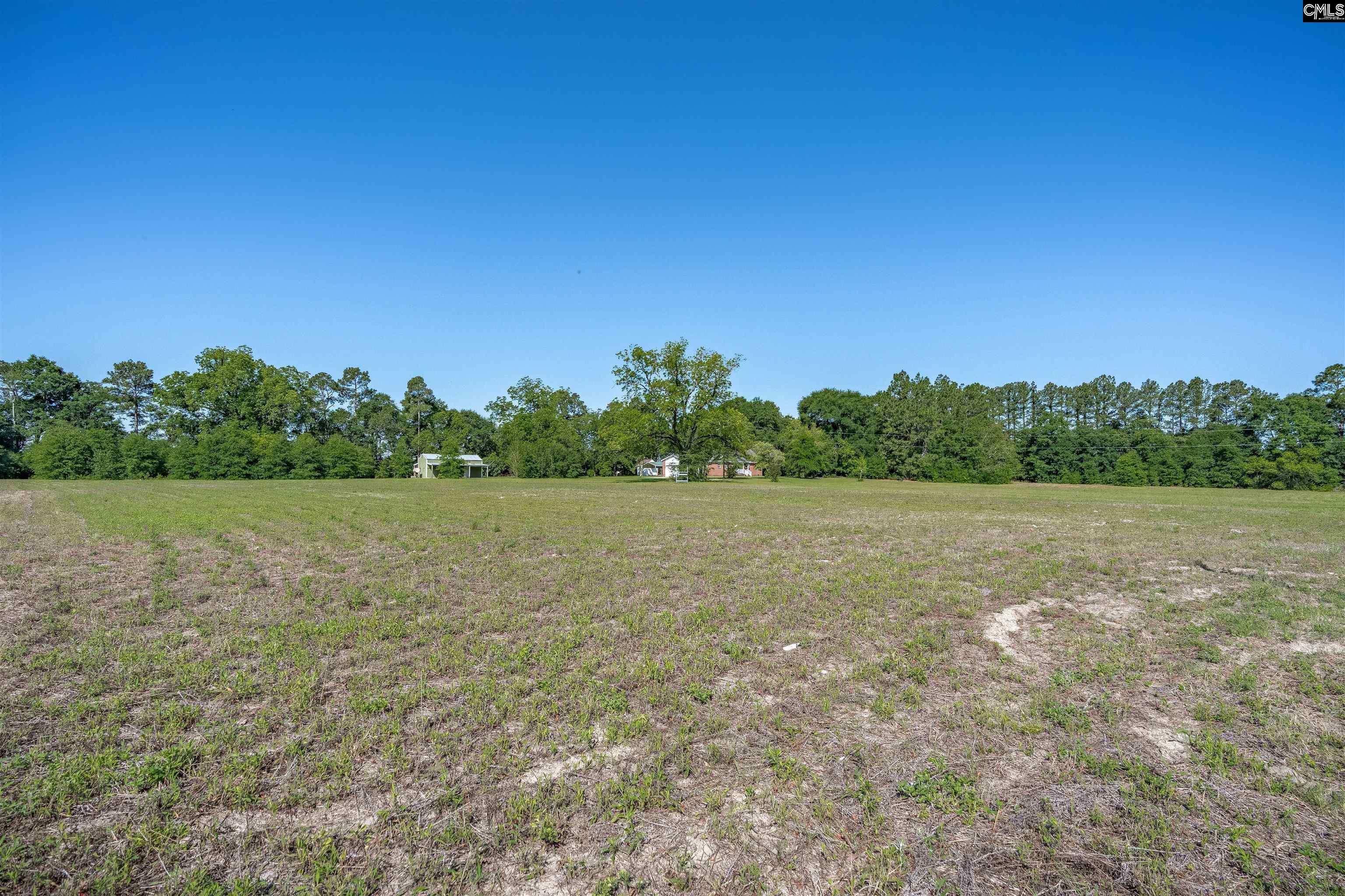 941 Old Charleston Road Pelion, SC 29123 - Photo 19 of 40